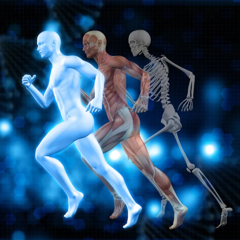 Ilustración de la biomecánica del cuerpo al correr